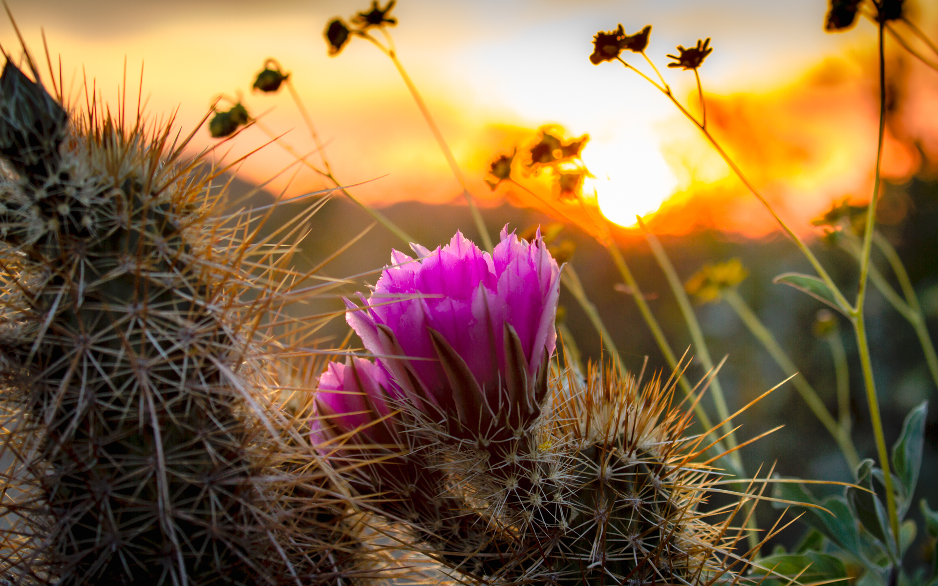 Our counselors, who are experts in anxiety disorders, work closely with our clients to identify the root causes of their anxiety, which can stem from a variety of factors including genetics, life experiences, and environmental triggers.